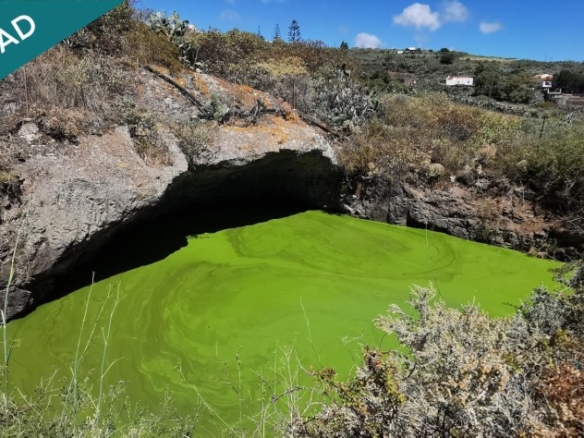 Imagen 1 de SE VENDE BONITA FINCA RÚSTICA EN LO BLANCO (SAN JOSÉ DEL ÁLAMO)
