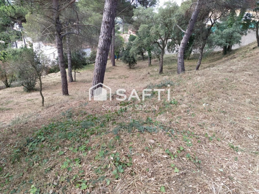 Imagen 2 de OPORTUNIDAD!! 2 Parcelas con bonitas vistas