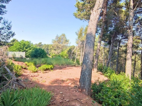 Imagen 2 de TERRENO DE 4156M2 EDIFICABLE EN CERVELLO.