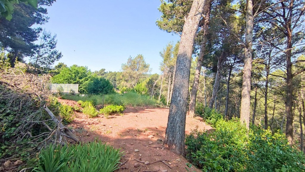 Imagen 2 de TERRENO DE 4156M2 EDIFICABLE EN CERVELLO.