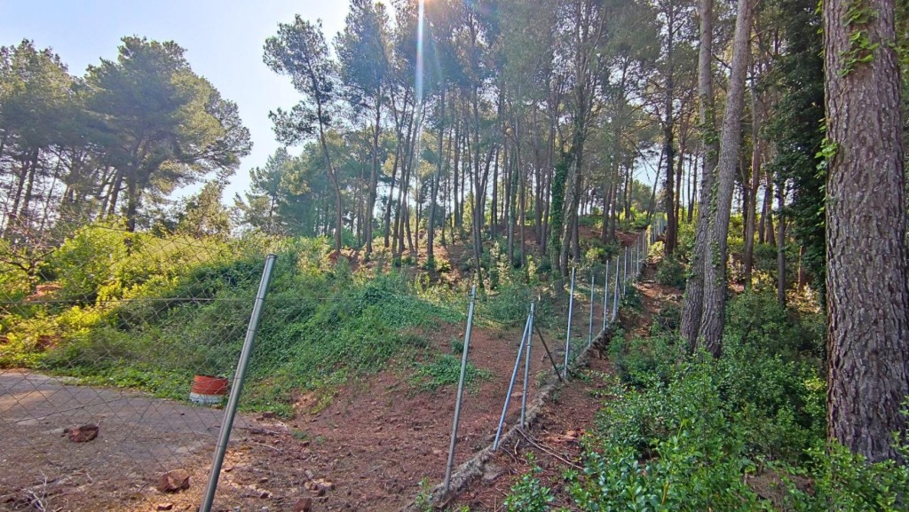 Imagen 3 de TERRENO DE 4156M2 EDIFICABLE EN CERVELLO.