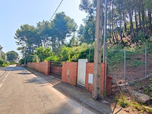 Imagen 4 de TERRENO DE 4156M2 EDIFICABLE EN CERVELLO.