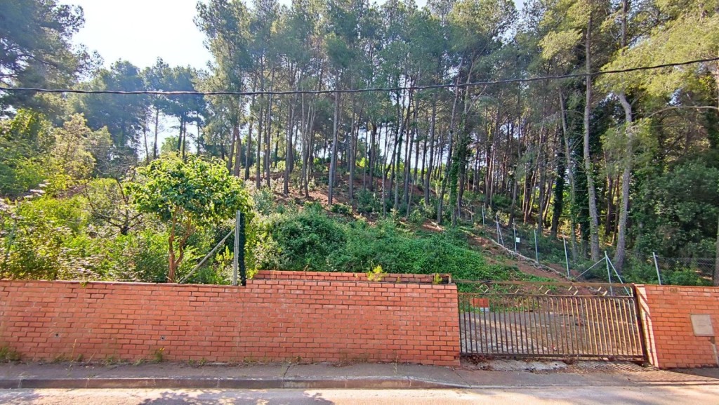 Imagen 1 de TERRENO DE 4156M2 EDIFICABLE EN CERVELLO.