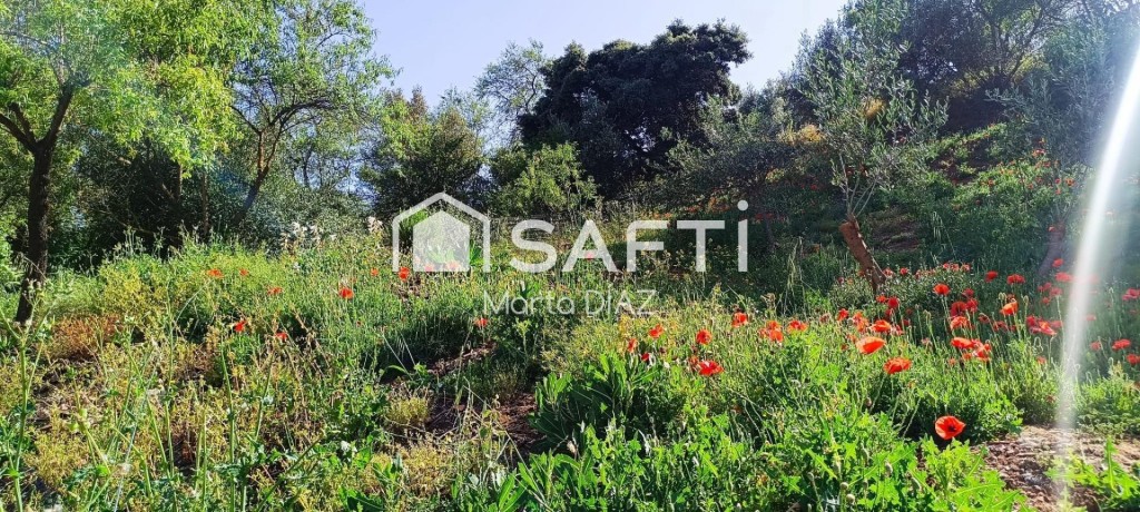Imagen 1 de ¡Tu refugio en la sierra