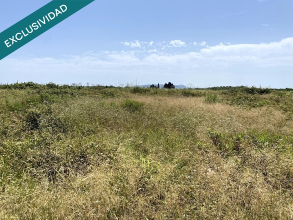 Imagen 3 de Terreno agrícola con encanto en Riola