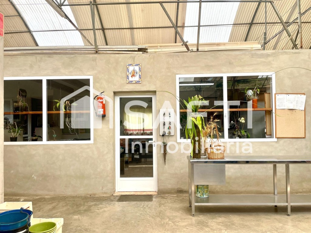 Imagen 3 de SE VENDE TERRENO RUSTICO NO URBANIZABLE.