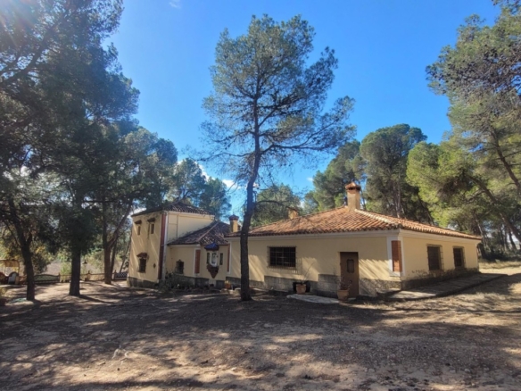 Imagen 2 de EXCELENTE OPORTUNIDAD!. FINCA AGRICOLA EN ONTINYENT CON GRAN VIVIENDA RENOVADA