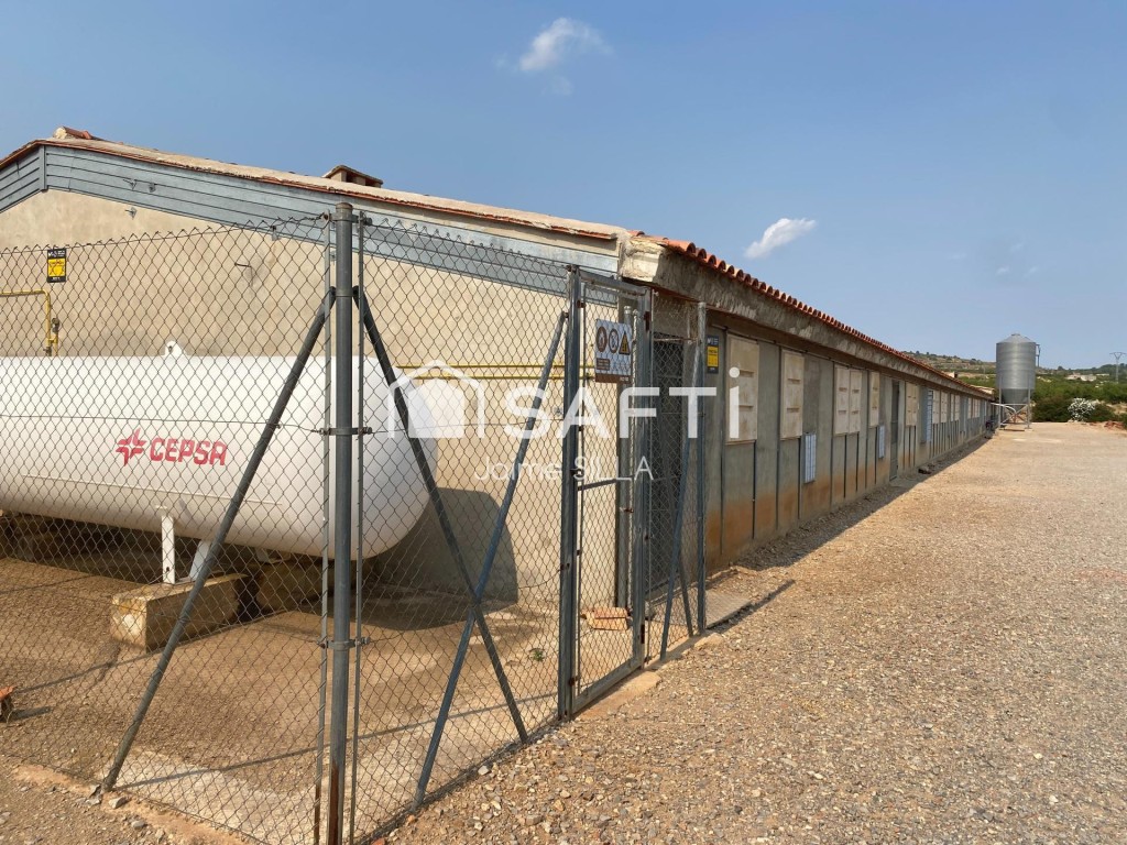 Imagen 1 de Nave de 1.500 m² con luz