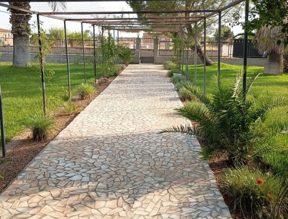 Imagen 1 de Parcela 5.000 metros. Casa