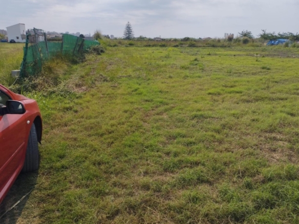 Imagen 4 de TERRENO RUSTICO EN PARTIDA DE RAFAL