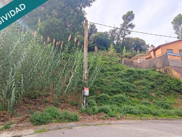 Imagen 2 de TERRENO URBANO DE 1195M2 EN TORRE VILETA