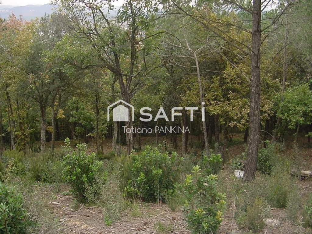 Imagen 2 de Venta de terreno en Fogars de la Selva.