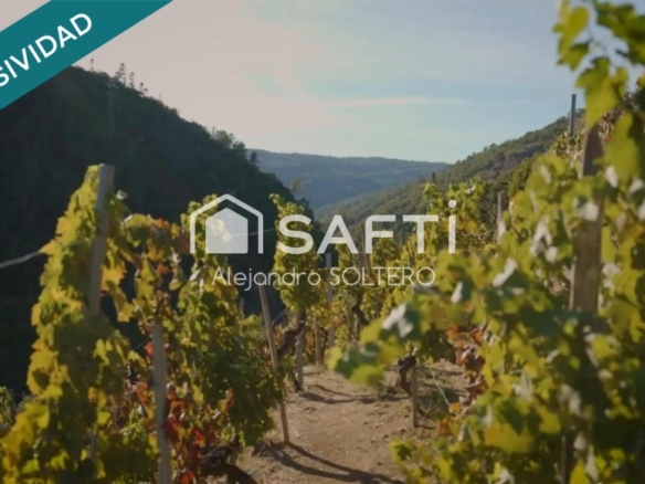 Imagen 2 de Galicia auténtica: invierte en paraíso natural.