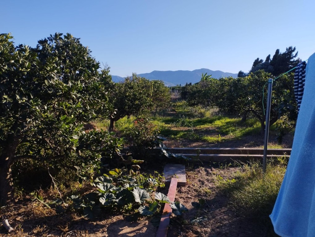 Imagen 4 de Espectacular terreno con residencial.