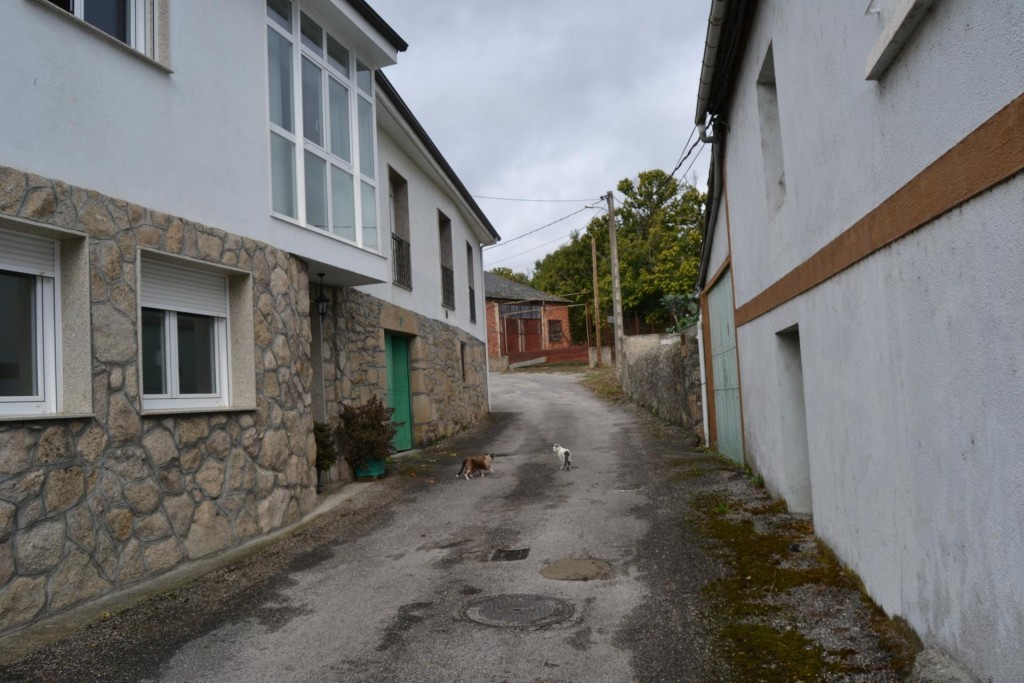 Imagen 2 de Vivienda 2 en 1