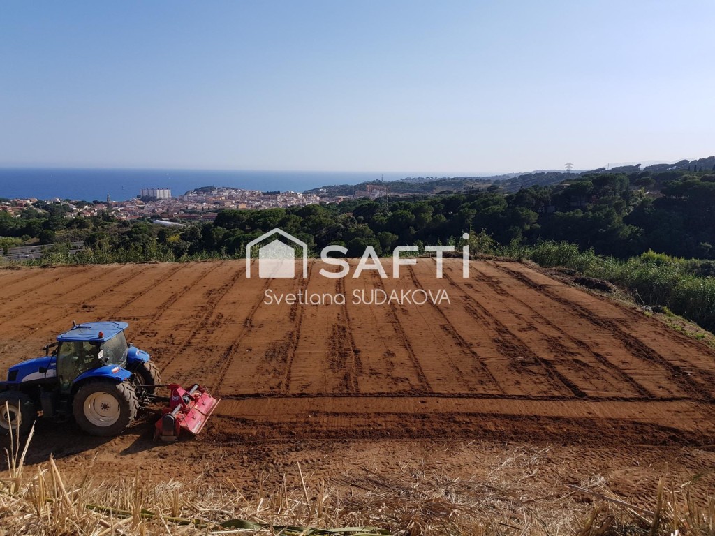 Imagen 2 de Finca Rustica Agrícola en Sant Cebria de Vallalta