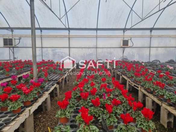 Imagen 1 de Finca Rustica Agrícola en Sant Cebria de Vallalta