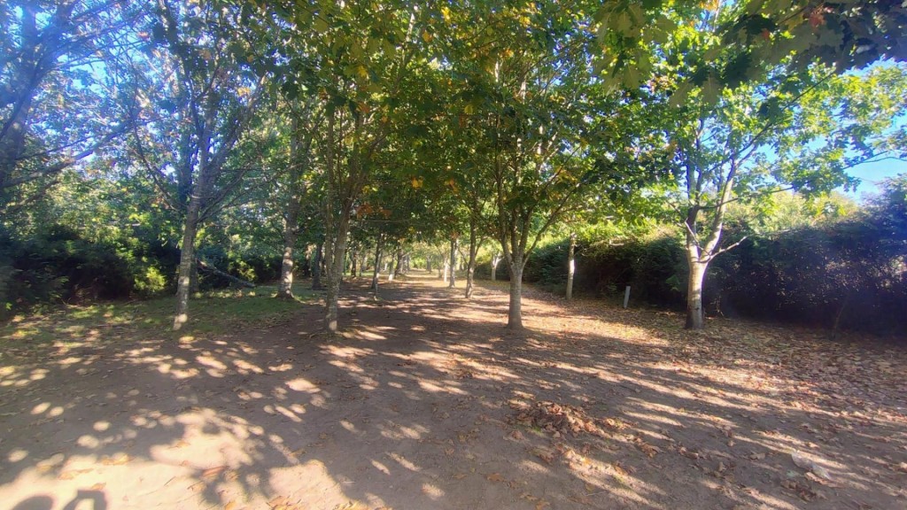 Imagen 2 de Villa moderna de 473 m² con 6 habitaciones