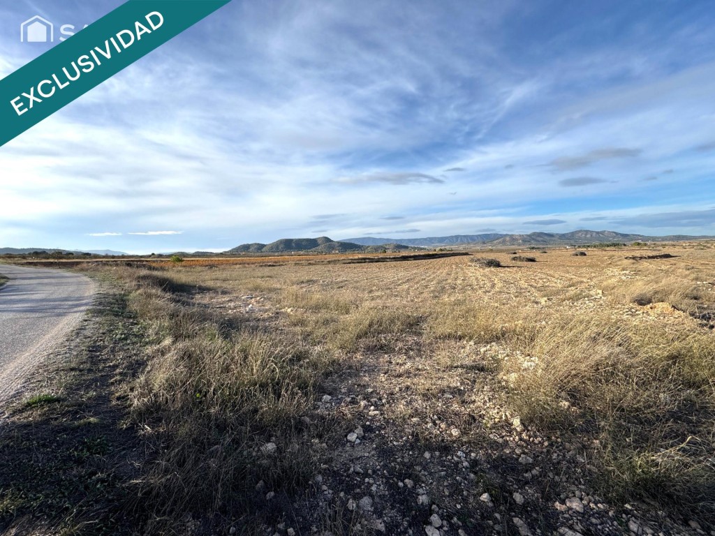 Imagen 2 de EXCLUSIVA OPORTUNIDAD – PARCELAS RÚSTICAS EN CASAS DE SANCHIS (MONOVAR)