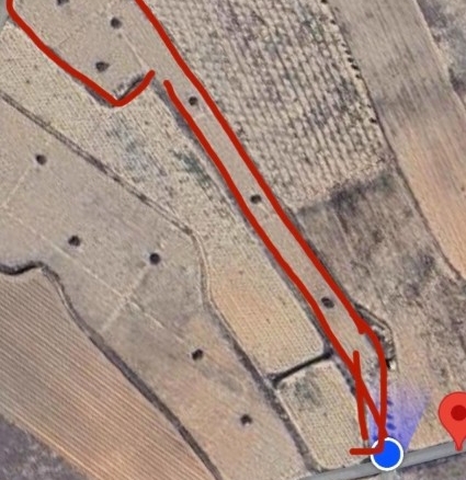 Imagen 4 de EXCLUSIVA OPORTUNIDAD – PARCELAS RÚSTICAS EN CASAS DE SANCHIS (MONOVAR)