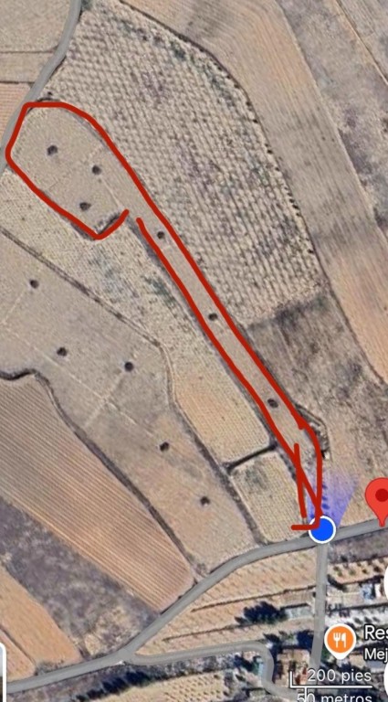 Imagen 4 de EXCLUSIVA OPORTUNIDAD – PARCELAS RÚSTICAS EN CASAS DE SANCHIS (MONOVAR)