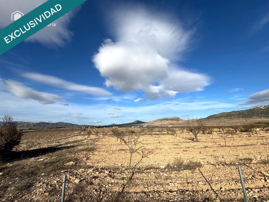 Imagen 2 de EXCLUSIVA OPORTUNIDAD – PARCELAS RÚSTICAS EN CASAS DE SANCHIS (MONOVAR)