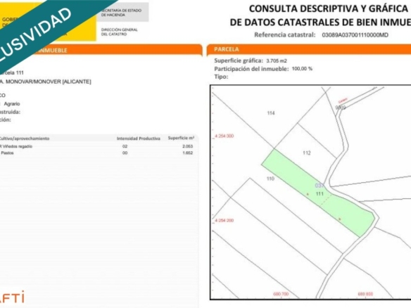 Imagen 2 de EXCLUSIVA OPORTUNIDAD – PARCELAS RÚSTICAS EN CASAS DE SANCHIS (MONOVAR)
