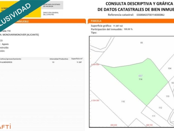 Imagen 3 de EXCLUSIVA OPORTUNIDAD – PARCELAS RÚSTICAS EN CASAS DE SANCHIS (MONOVAR)