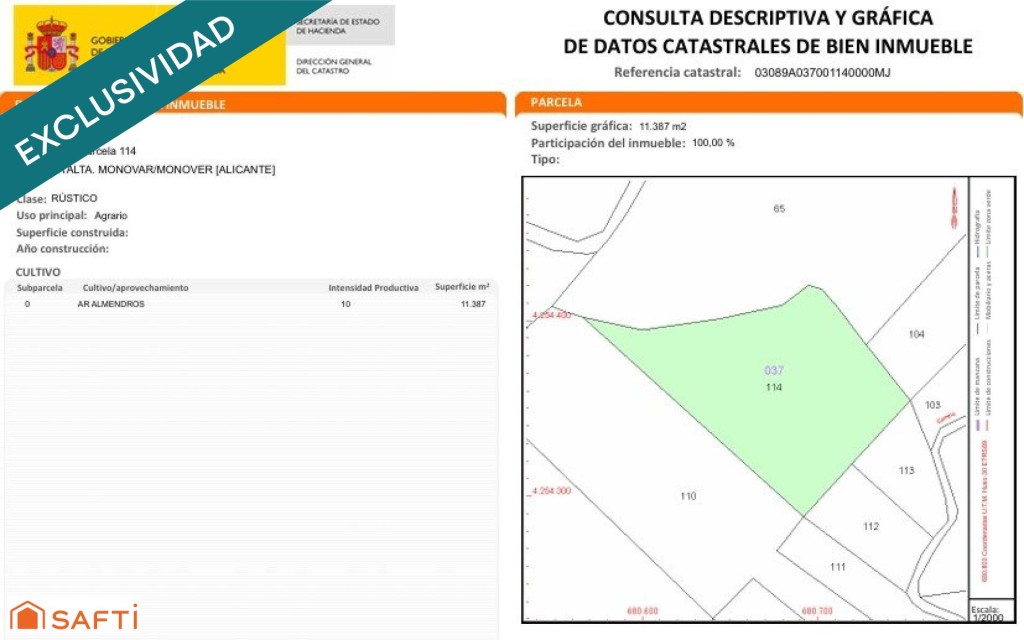 Imagen 3 de EXCLUSIVA OPORTUNIDAD – PARCELAS RÚSTICAS EN CASAS DE SANCHIS (MONOVAR)
