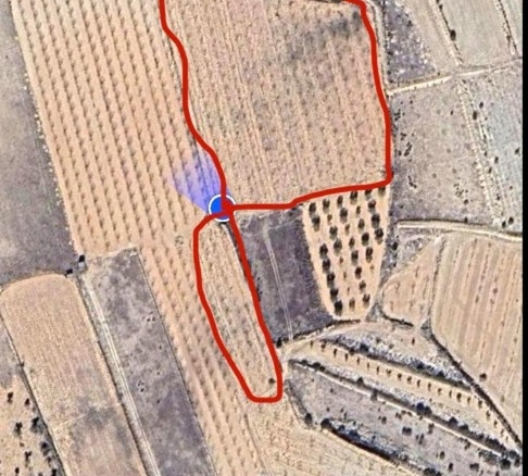 Imagen 1 de EXCLUSIVA OPORTUNIDAD – PARCELAS RÚSTICAS EN CASAS DE SANCHIS (MONOVAR)