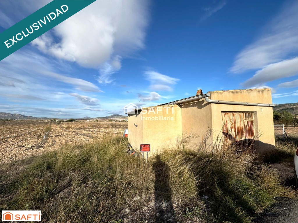 Imagen 2 de EXCLUSIVA OPORTUNIDAD – PARCELAS RÚSTICAS EN CASAS DE SANCHIS (MONOVAR)