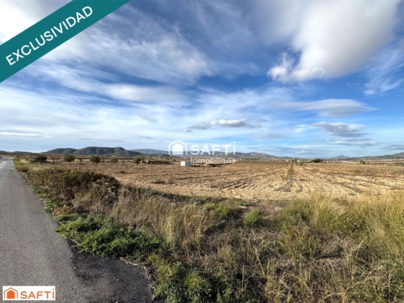 Imagen 4 de EXCLUSIVA OPORTUNIDAD – PARCELAS RÚSTICAS EN CASAS DE SANCHIS (MONOVAR)