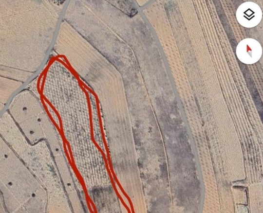 po-1251620-imagen - El Club del Propietario Imagen 1 de EXCLUSIVA OPORTUNIDAD – PARCELAS RÚSTICAS EN CASAS DE SANCHIS (MONOVAR)