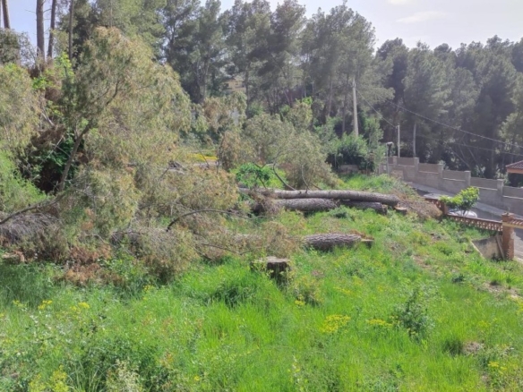 Imagen 2 de Solar urbano 780m² (Cabrera d’Anoia) ¡Naturaleza!