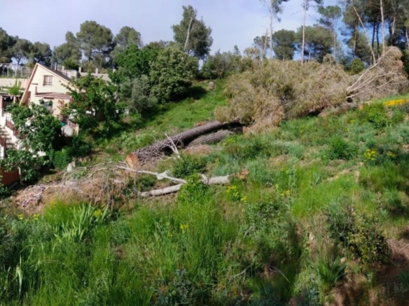 Imagen 3 de Solar urbano 780m² (Cabrera d’Anoia) ¡Naturaleza!