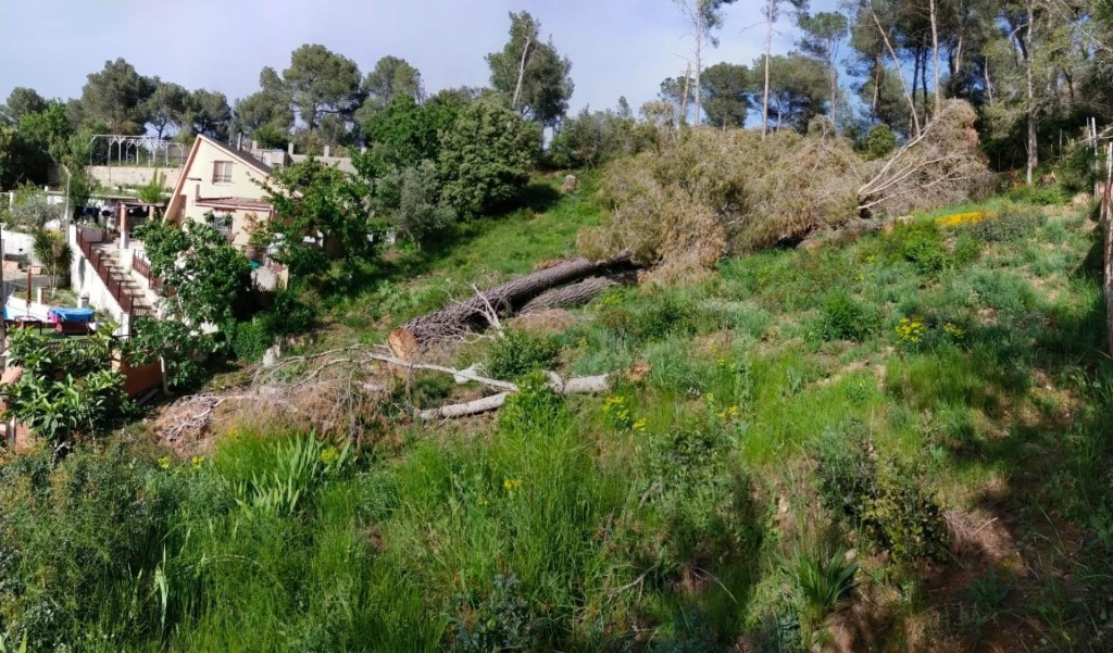 Imagen 3 de Solar urbano 780m² (Cabrera d’Anoia) ¡Naturaleza!