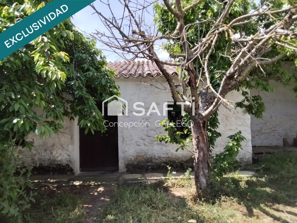 Imagen 4 de ME VENDEN EN CINCO CASAS (Ciudad Real) Sin comisión al comprador.