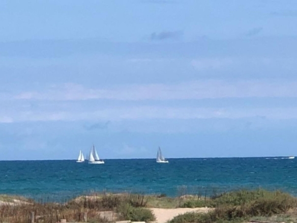 Imagen 1 de Dos apartamentos en 1ª línea de playa en El Saler