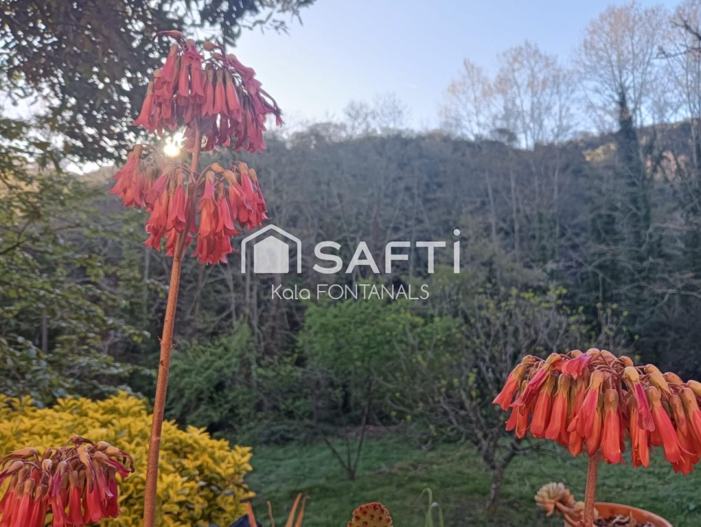 Imagen 1 de EN VENTA AUTENTICA MASIA CATALANA DEL 1730