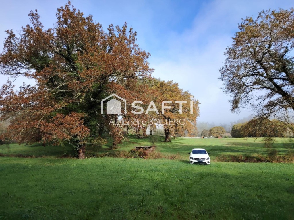 Imagen 1 de Un oasis rural único junto a Santiago