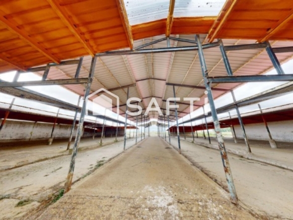 Imagen 1 de ***REBAJADO*** OPORTUNIDAD DE NAVES GANADERAS