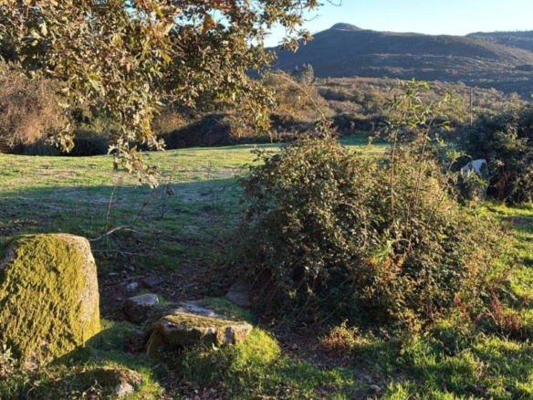 Imagen 1 de Terreno Edificable