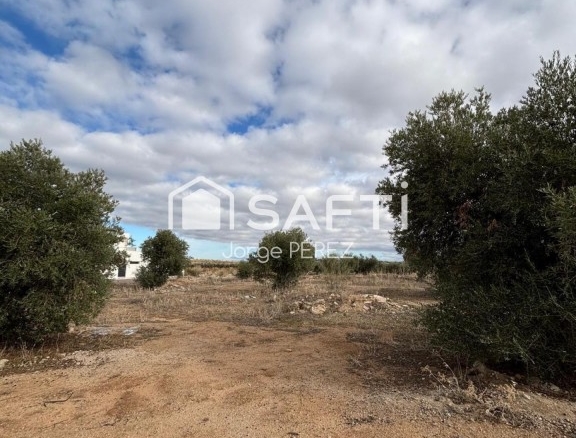 Imagen 3 de Safti vende terreno urbano en cobisa