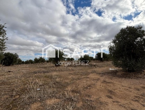 Imagen 4 de Safti vende terreno urbano en cobisa