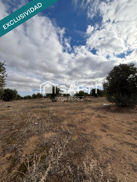 Imagen 4 de Safti vende terreno urbano en cobisa