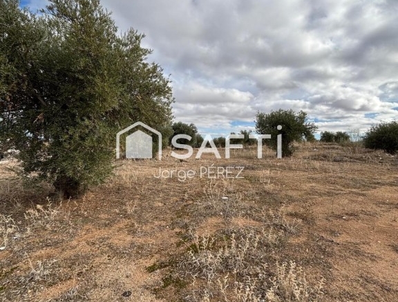 po-1251750-imagen - El Club del Propietario Imagen 1 de Safti vende terreno urbano en cobisa