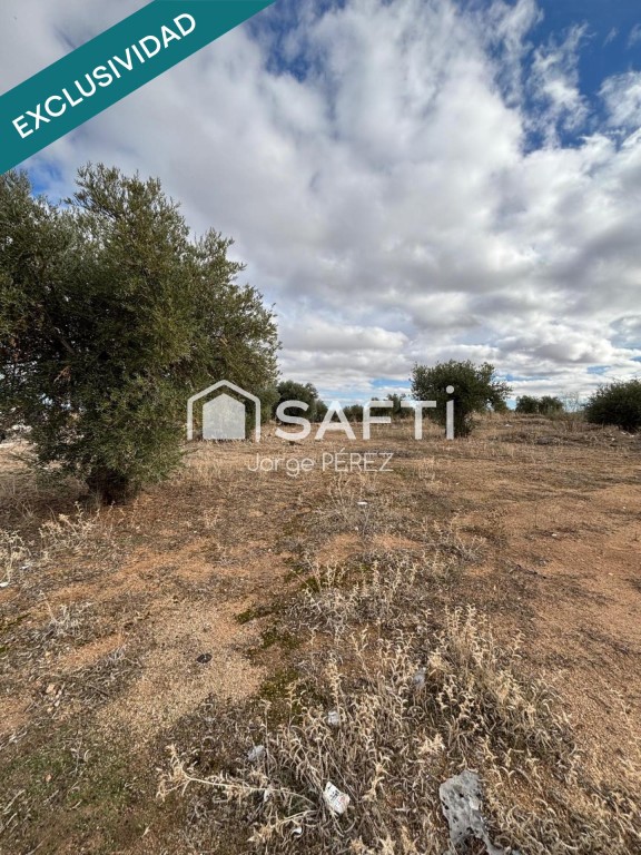 Imagen 1 de Safti vende terreno urbano en cobisa