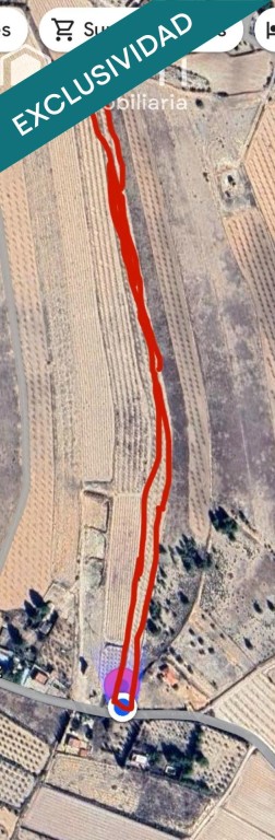 Imagen 2 de EXCLUSIVA OPORTUNIDAD – PARCELAS RÚSTICAS EN CASAS DE SANCHÍS (MONOVAR).