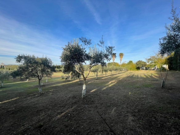 Imagen 4 de Finca Rústica de 4857 m2 en Jerez de la Frontera