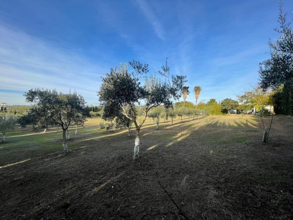 Imagen 4 de Finca Rústica de 4857 m2 en Jerez de la Frontera